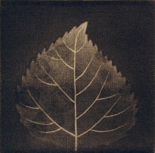 Product Image - Autumn leaf<BR>Year: 1983<BR>