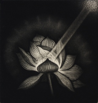 Product Image - Lotus flower<BR>Year: 2008<BR>